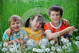 Three Children in a Meadow