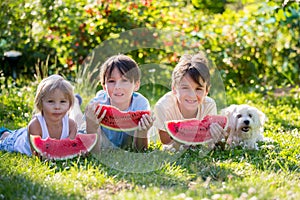 Three children, siblings and pet dog, eating watermelon in garden