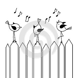 Three chirping birds on the fence.