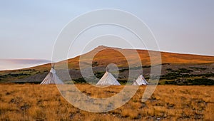 Three chums in tundra in summer morning