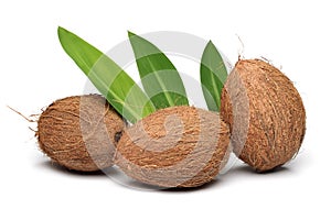 Three Coconut photo