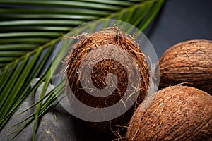 Three coconuts on a gray background