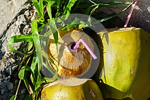 Three coconuts with straws