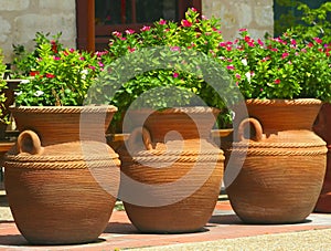 Three Coiled Clay Pots 2