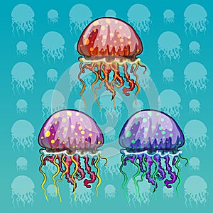 Three color spotted jellyfish