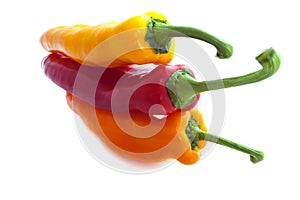 Three colored paprika`s