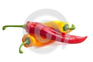 Three colored paprika`s