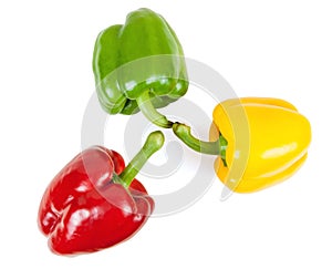 Three colored peppers on white background