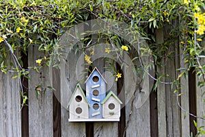 Three colorful birdhouses on old fence with yellow flowers