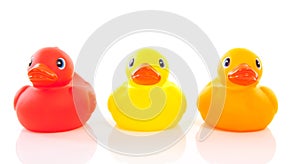 Three colorful ducks