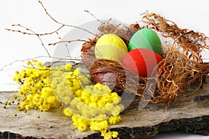 Three colorful Easter eggs and sprigs of mimosa