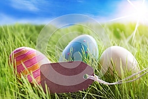 Three Colorful Easter Eggs On Sunny Green Grass With Label With Copy Space