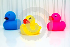Three colorful plastic rubber ducks seen in profile
