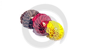 three colorful rose brooches on a white background