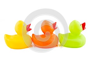 Three colorful rubber ducks