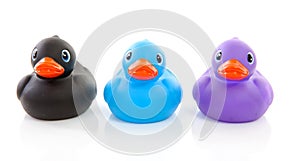 Three colorful rubber ducks