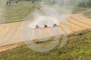 Three combines collects the stubble remains on the cutover field during harvesting