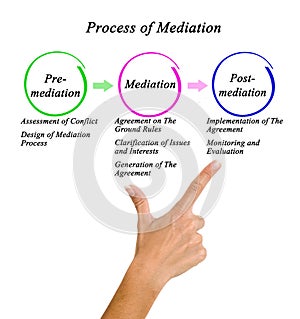 Components in Process of Mediation