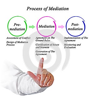 Components in Process of Mediation