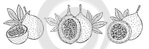 Three compositions of a whole orange granadilla fruit and halves of fruit with leaves. Black outline image on a white background.