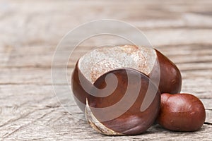 Three conkers