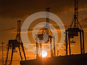 Three container cranes silhouetted against rising sun