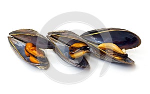 Three cooked mussels