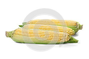 Three corn cob