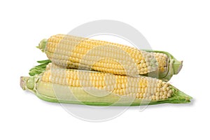 Three corn cob