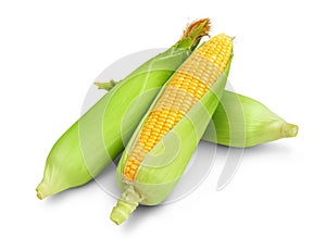 Three corn cob isolated on a white background