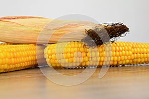 Three corn cobs on each other. White background.