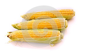 Three corns isolated on white