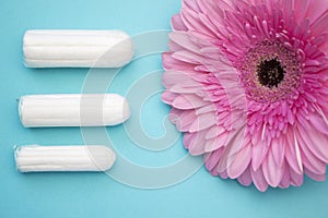 Three cotton tampons for menstrual blood period and pink gerbera flower. Woman hygiene conception photo. Soft tender protection fo