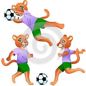 Three cougars as the footballers in uniform in dynamic poses with the soccer ball