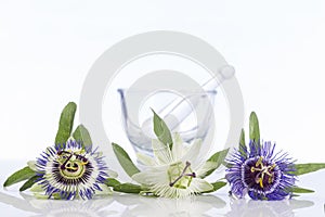 Three coulored passion flower with mortar