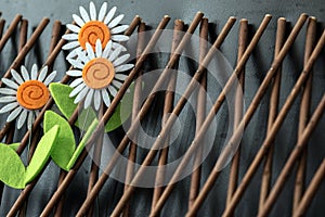 Three Daisy Flowers On Wooden Trellis