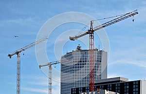 Three cranes in the Birmingham