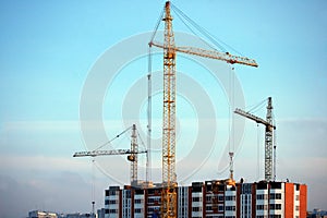 , three cranes on top of high-rise building