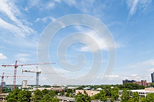 Three Cranes Under Big Sky