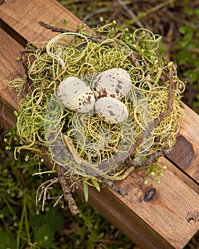 Three cream and brown eggs in a birds nest on a wooden crate