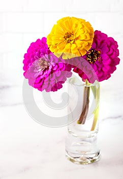 Three cut zinnias in a glass vase with copy space
