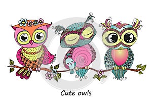 Three cute colorful owls sitting on tree branch