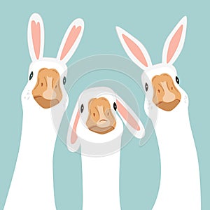 Three cute geese wearing Easter bunny ears. Easter greeting design element. Vector illustration isolated on blue