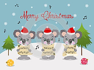 Three cute koalas chorus singing Christmas songs