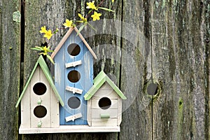 Three cute little birdhouses on wooden fence with flowers