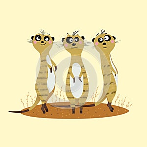 Three cute meerkats standing on the sand and looking warily to the side