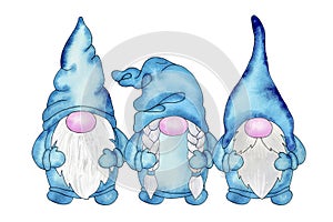 Three cute nordic gnomes