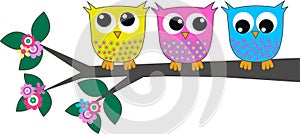 Three cute owls