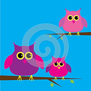 Three cute owls and cloud. Card.