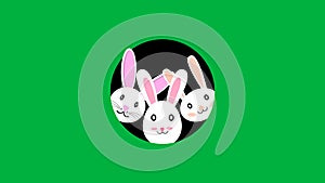 three cute rabbits looking from black hole in green screen